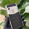 aster p ca sau thep 1