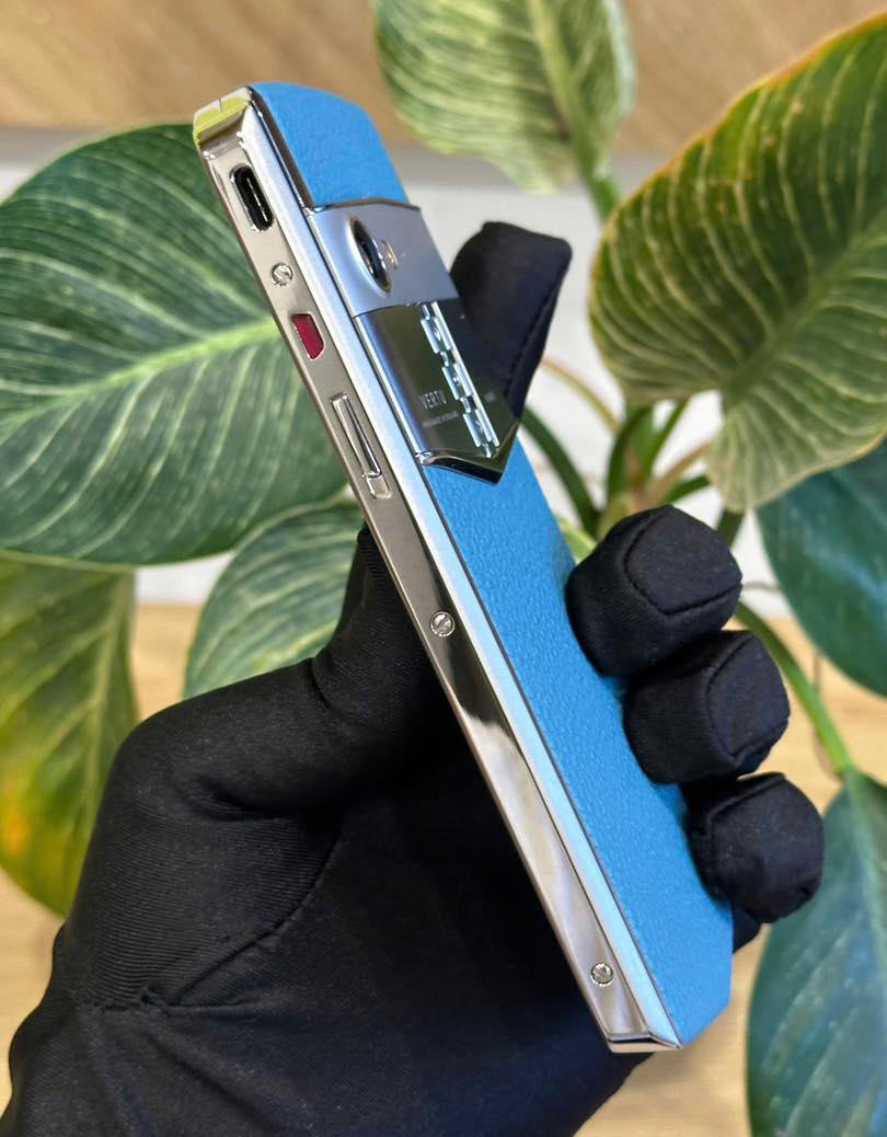 aster p xanh 4