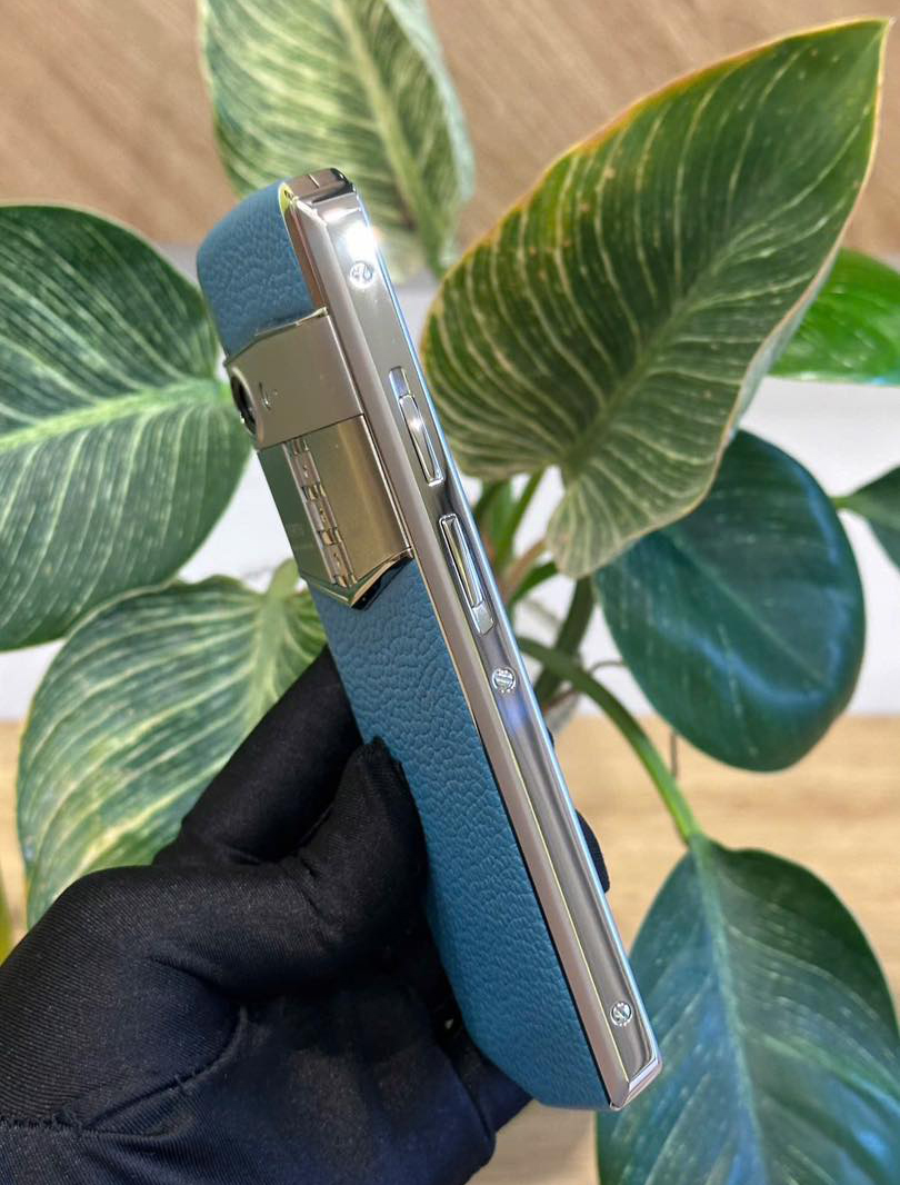 aster p xanh 5